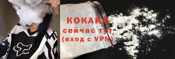 твердый Сосновка